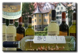 Stocherkahn Tübingen. Schmidt's Stocherkahnfahrten Wine-Tour
