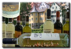 Stocherkahn Tübingen. Schmidt's Stocherkahnfahrten Wein-Fahrt